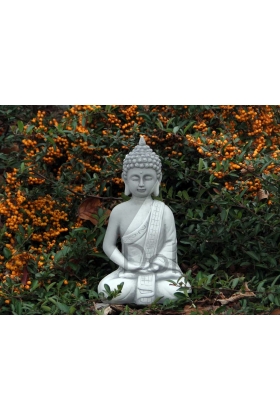 Meditación del joven Buda